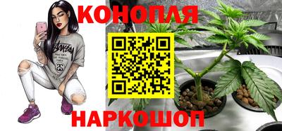 твердый Ярославль
